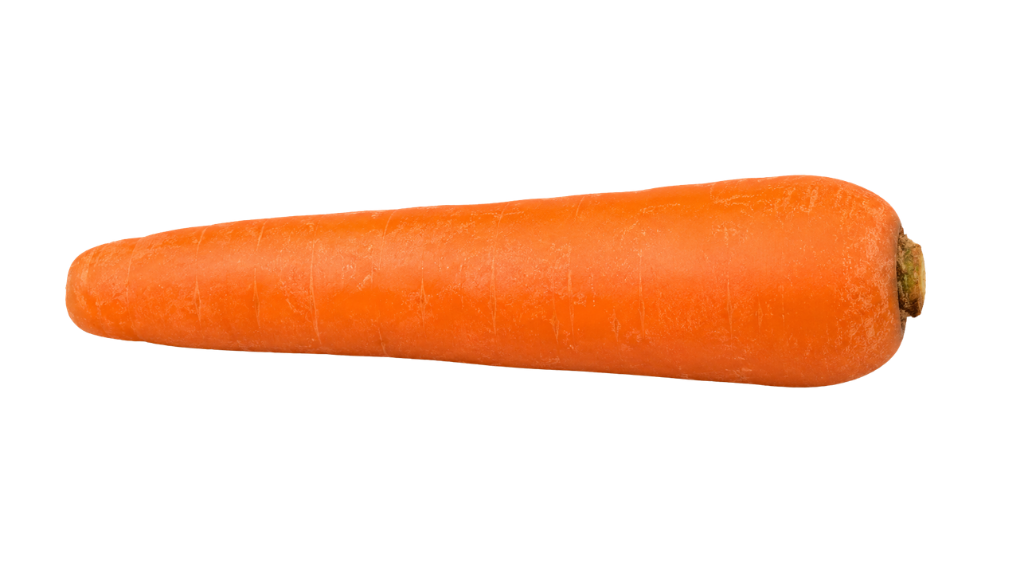 carrot